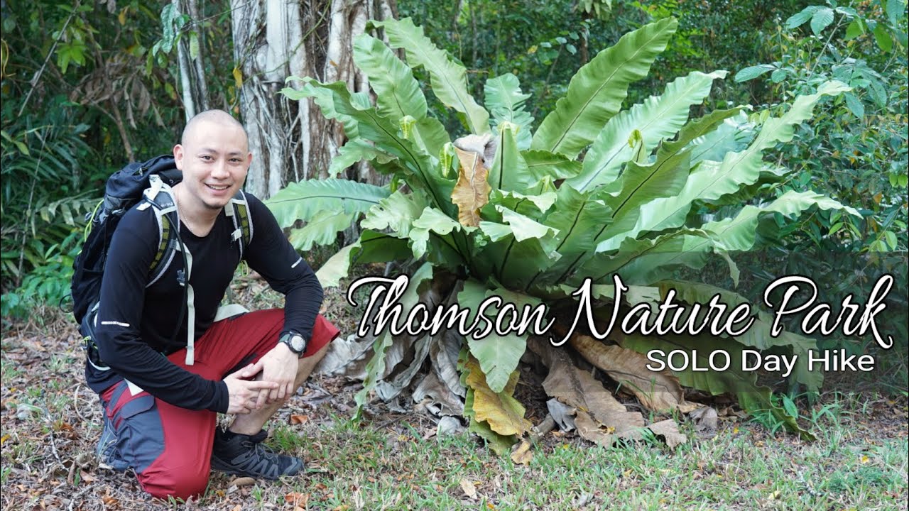Thomson Nature Park / Day Hike / Singapore
