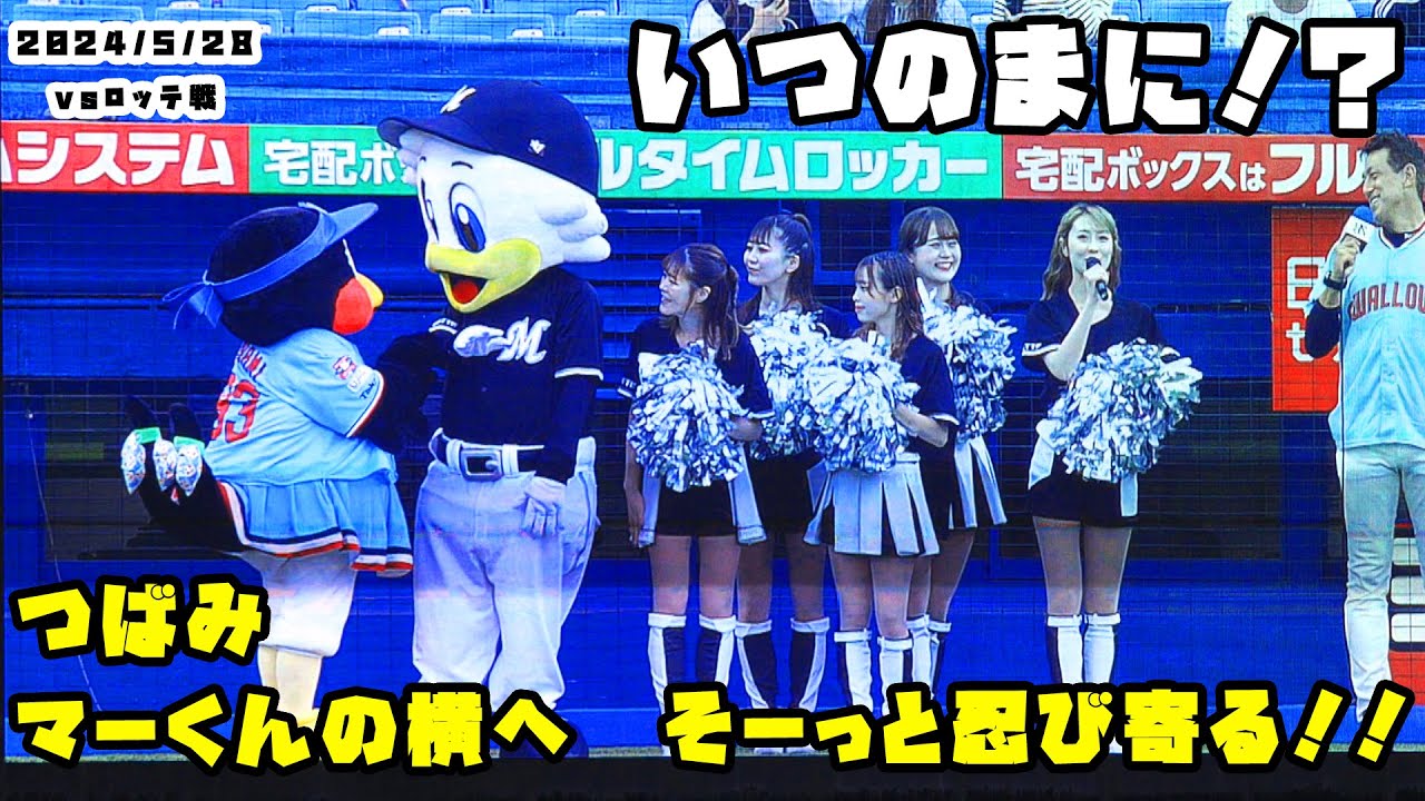 つばみ　マーくんの横へ、そーっと忍び寄る！！　2024/5/28 vsロッテ