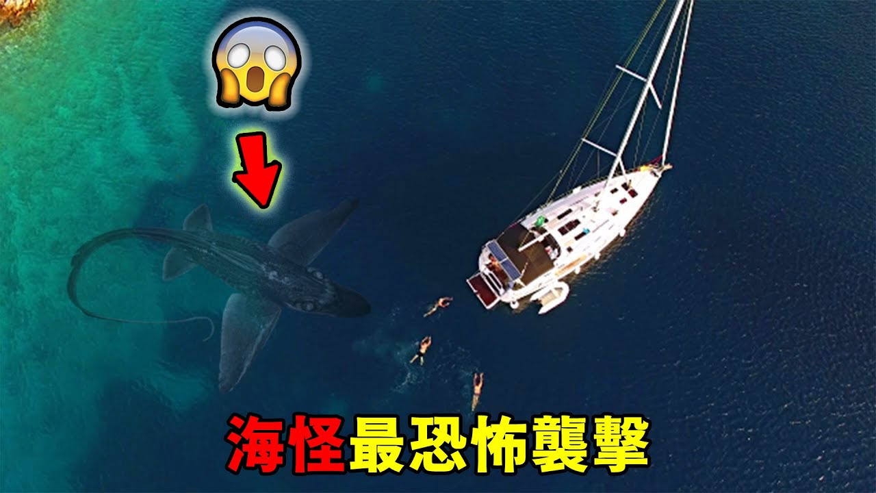 全世界最驚人的十大海怪攻擊事件！連船帶人一起
