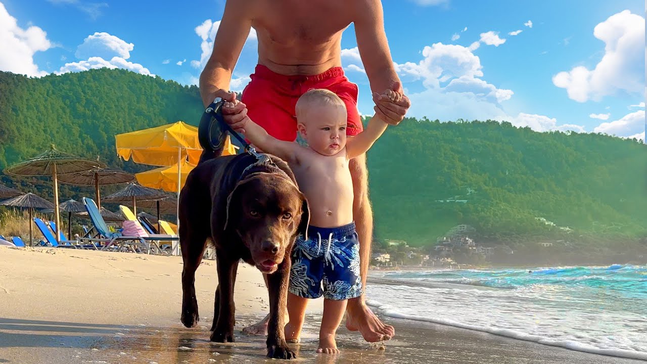 Как мы проводим день на греческом острове: очаровательные реакции младенцев и собак