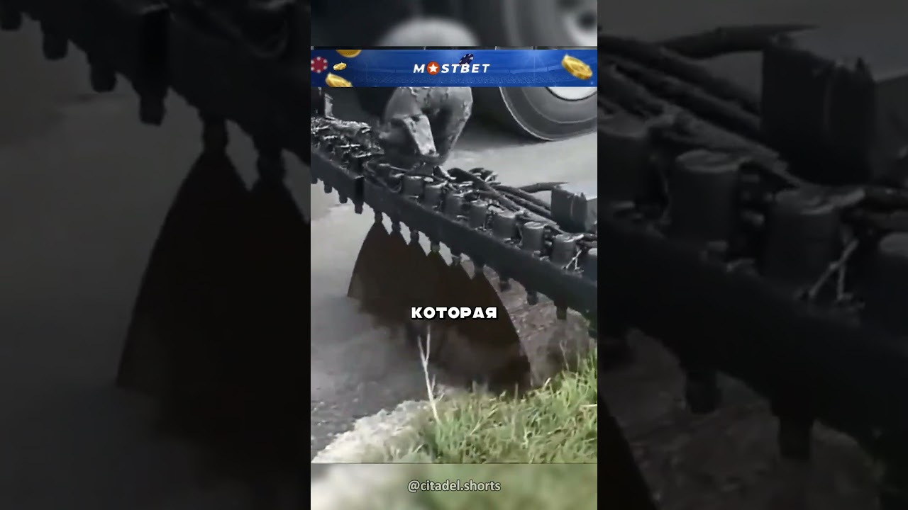 Как заделывают трещины в дорогах и укладывают асфальт 😮🔥🛣