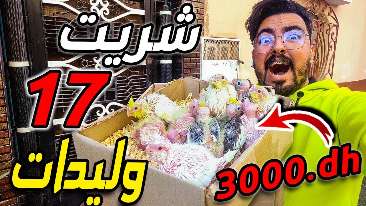 شريت 17 وليدات جداد😍 3000 درهم😱.. ب فلوس يوتيب🤑
