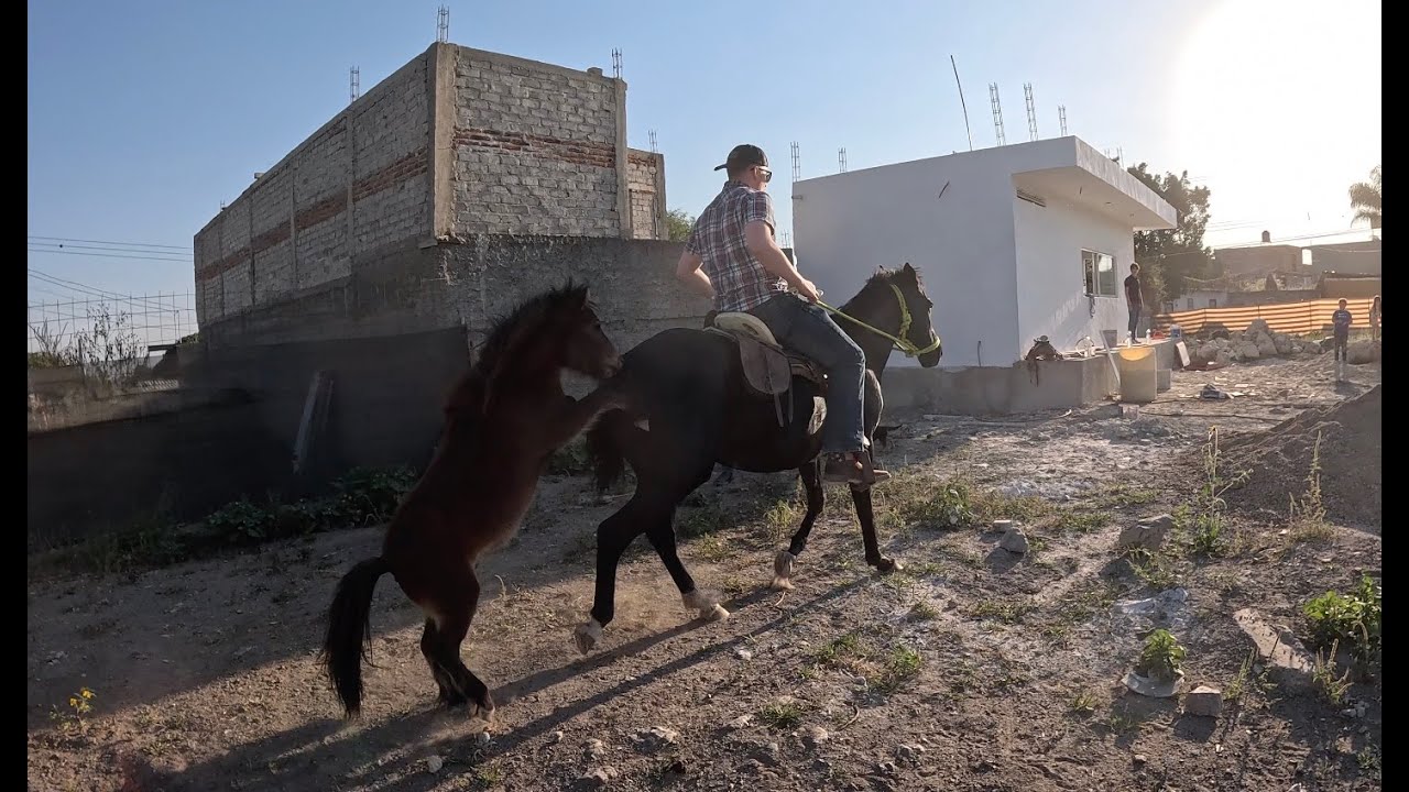 THIS Happened On My FIRST Time Learning To Ride A Horse