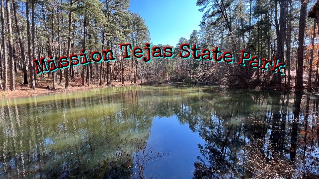 Mission Tejas State Park Campsite #11 Review