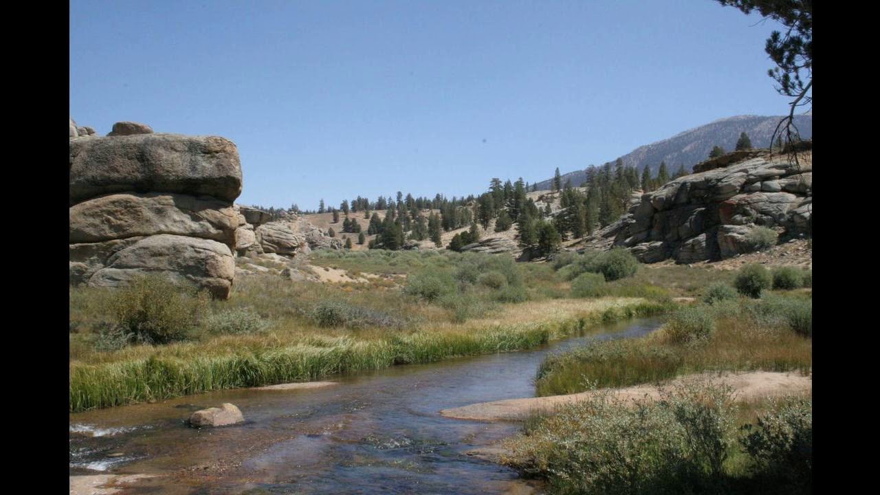 Flowing Stream Meditation