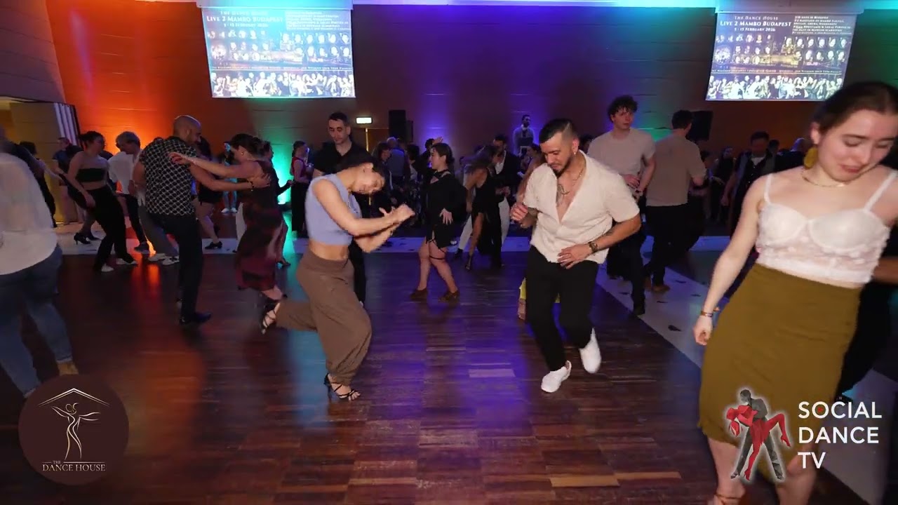 Ernesto & Sophia - Social dancing | Live 2 Mambo Budapest January 30 - February 10 2025