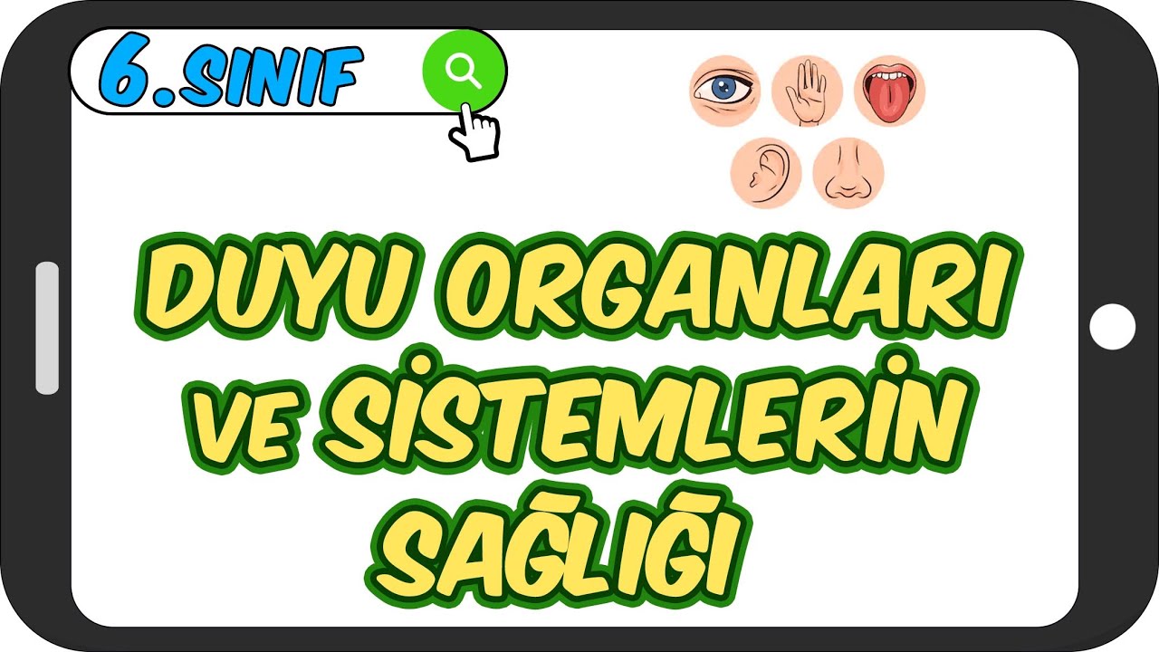 Duyu Organları ve Sistemlerin Sağlığı 📗 6.Sınıf Fen #2023