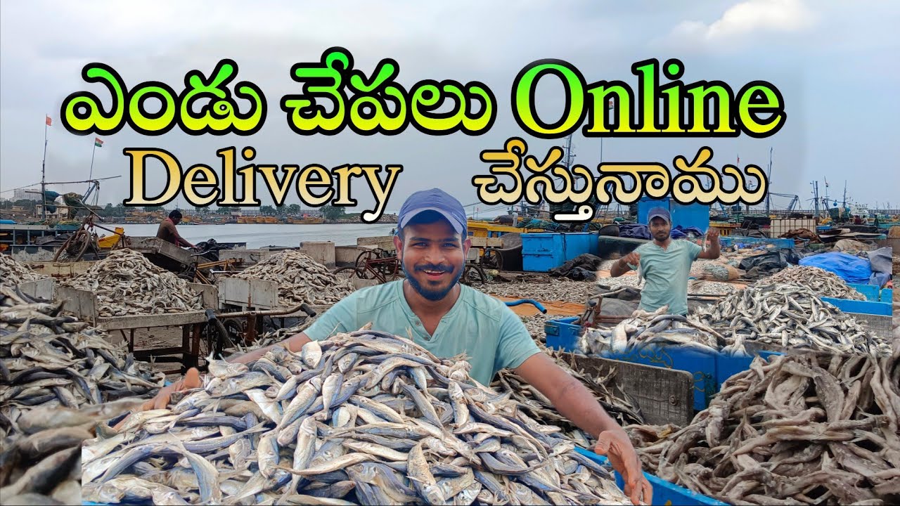 ఎండు చేపలు డైరెక్ట్ ఆన్&zwnj;లైన్  డెలివరీ 🚚 | Dry Fish Online Delivery...