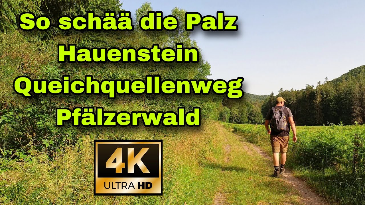 So schää die Palz | Hauenstein | Queichquellenweg im Pfälzerwald