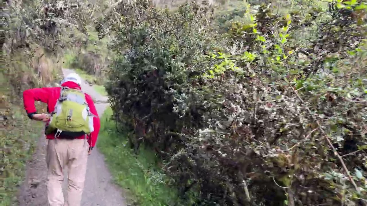 Inca Trail- start of the second day