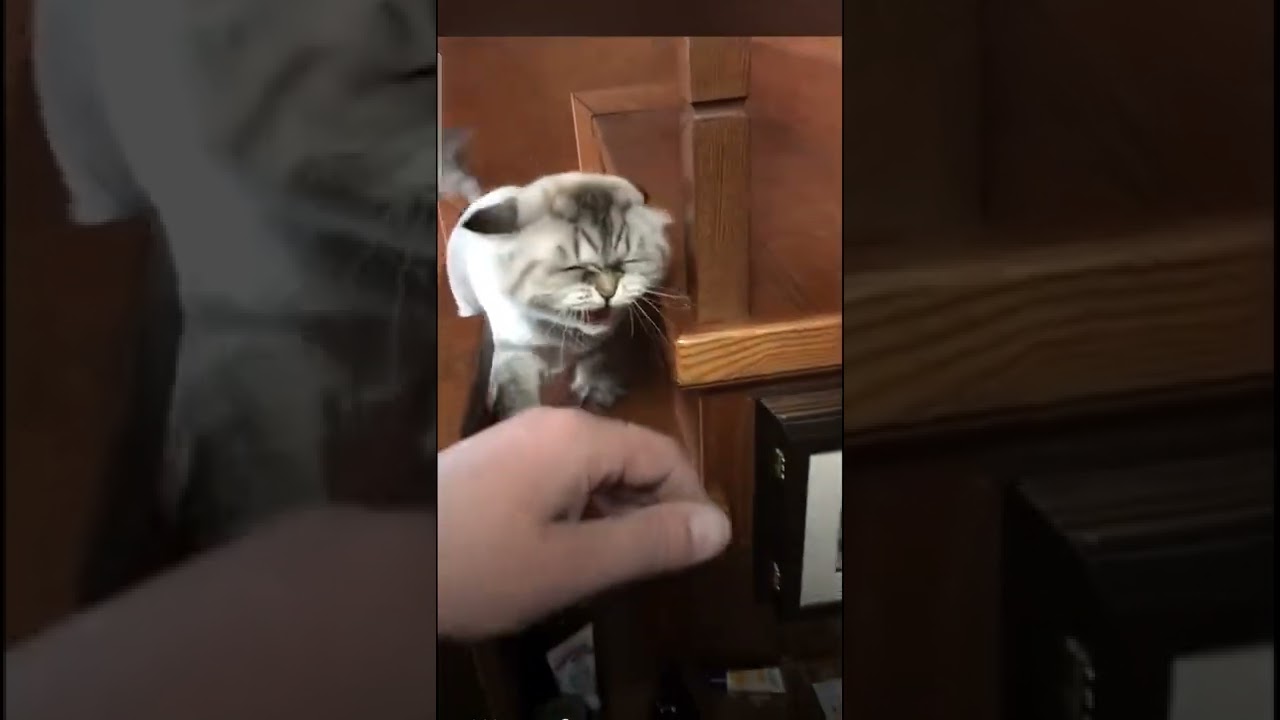 Serious anger issues