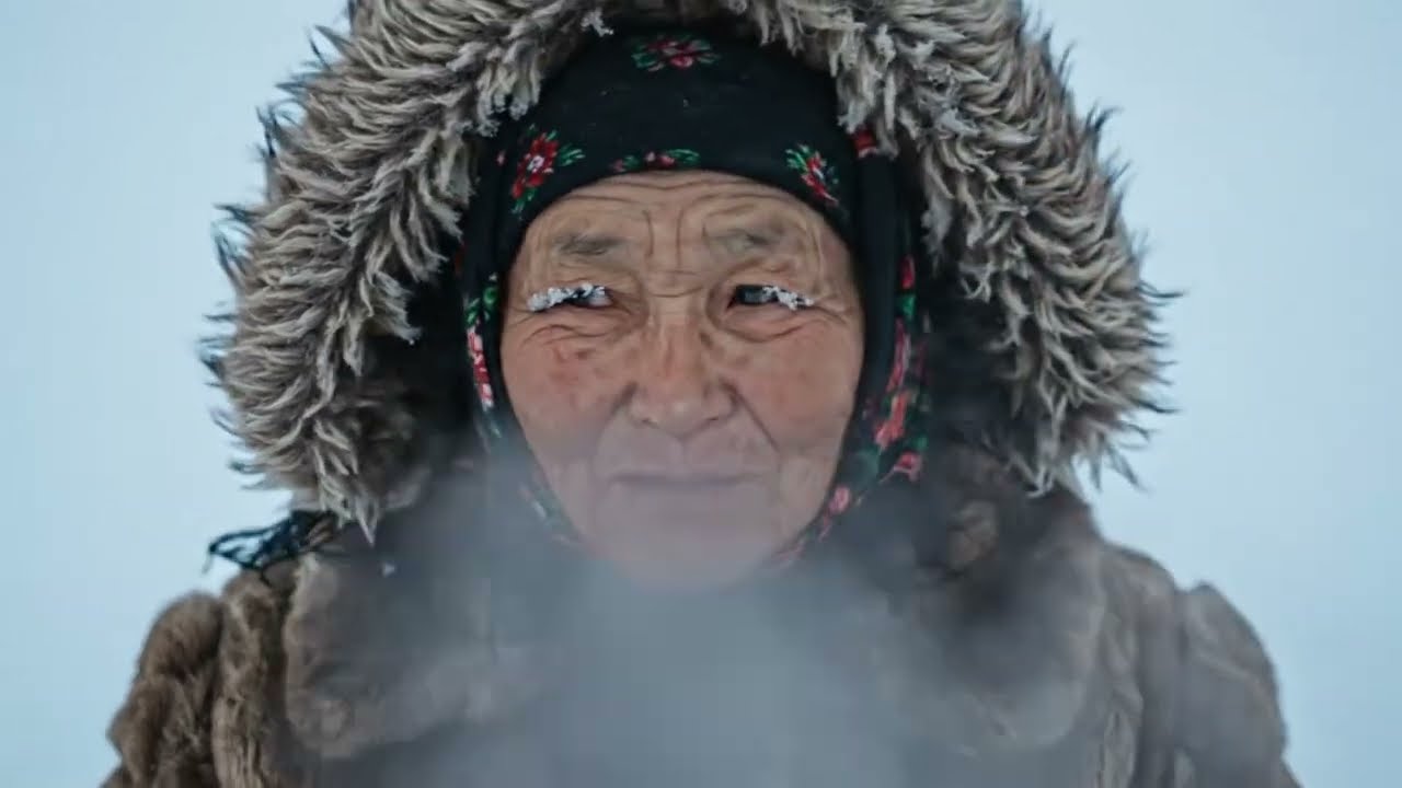 🐅 Saved a baby tiger at -39°C… And they became best friends