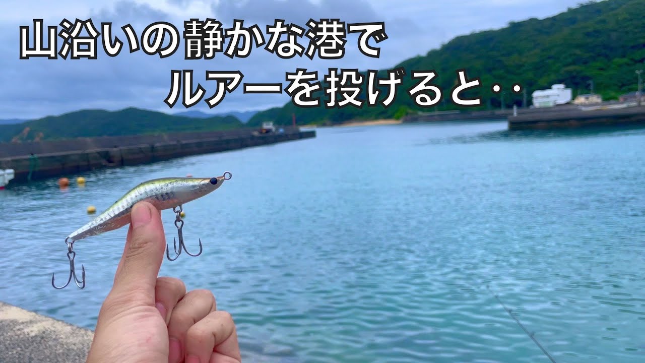 謎の魚が湧き立つ港でルアーで釣りしたら隠れ高級魚が釣れました。