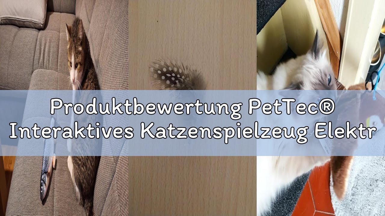 Produktbewertung PetTec® Interaktives Katzenspielzeug Elektrisch [DAS ORIGINAL] Selbstbeschäftigung