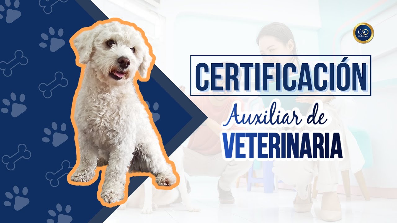 CERTIFICACI&Oacute;N AUXILIAR T&Eacute;CNICO VETERINARIO 👩&zwj;⚕️👨🏻&zwj;⚕️🐶🐱