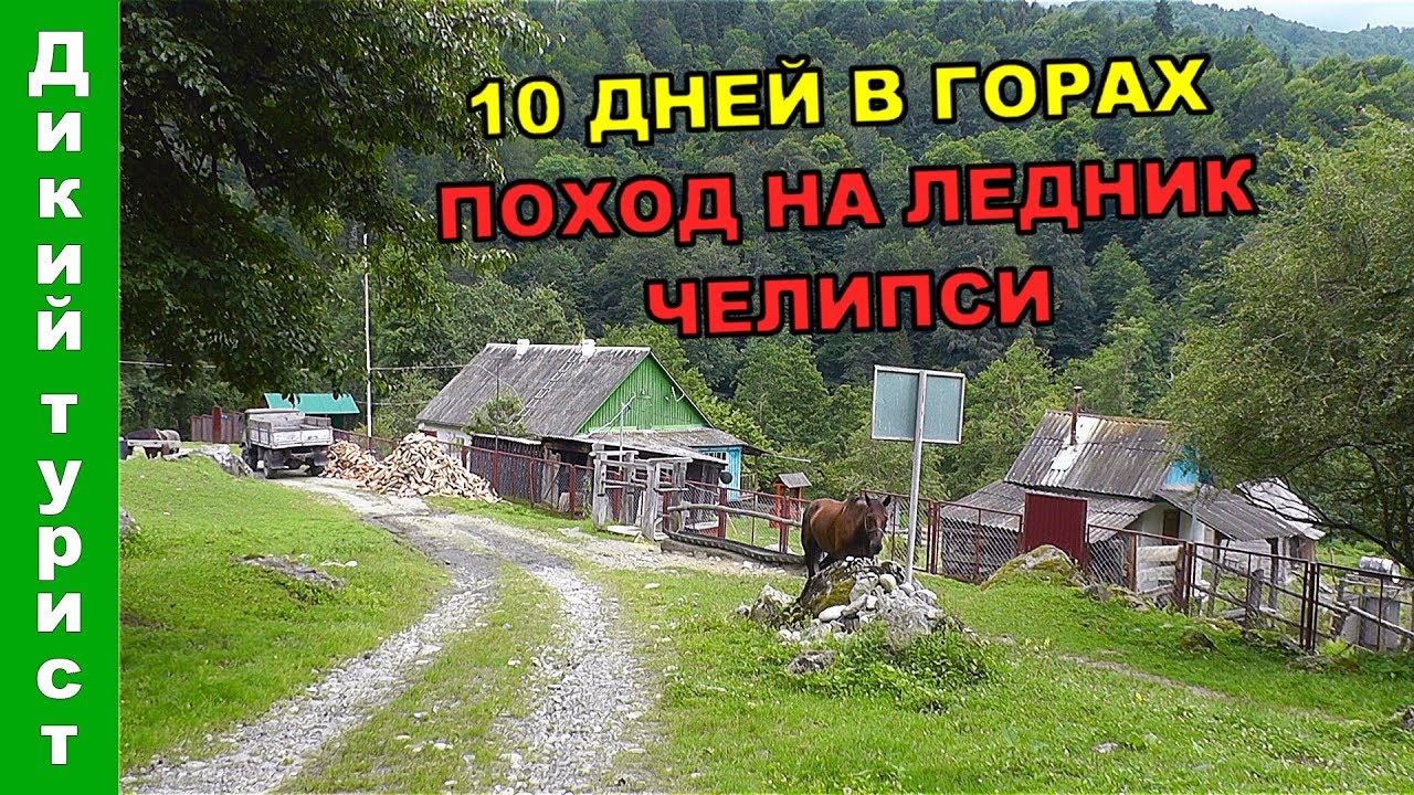 БЕСТРОПИЕ ВЫСОКОГОРНОГО Кавказа. Встреча с МЕДВЕДЕМ! Поход на озеро Ачипста и ледник Челипси
