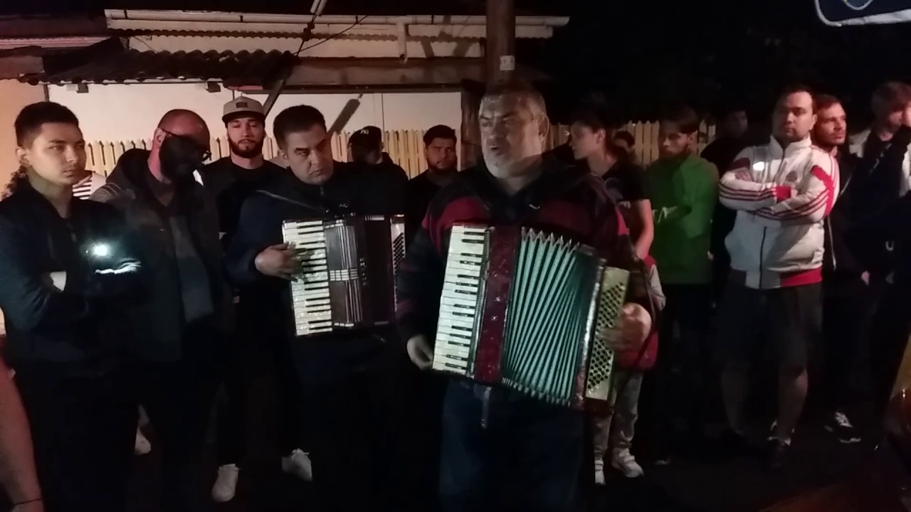 JALE MARE LA TURTURICA