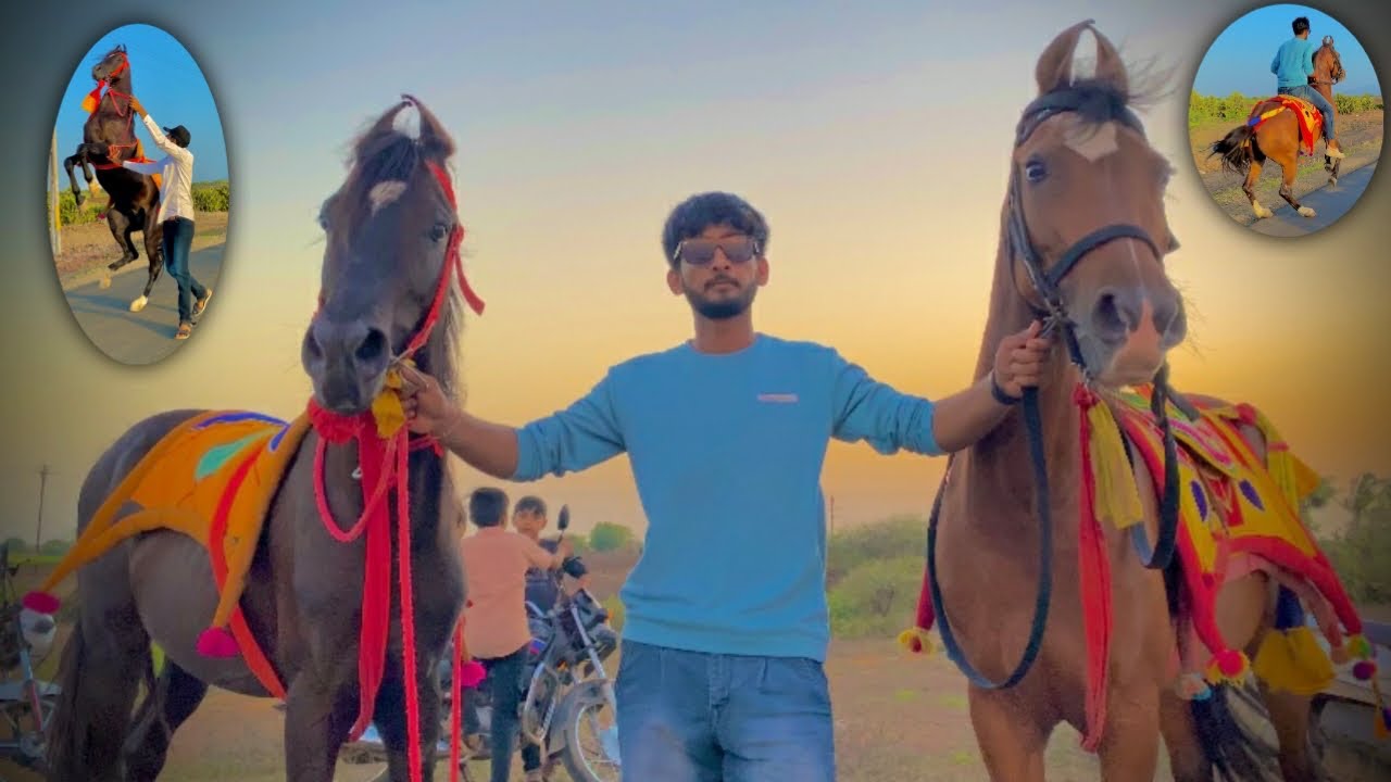 ઘોડો અને ઘોડી બેય ને લયને ગયા 😱 ( બેય ની સવારી કરી ) | horse riding |