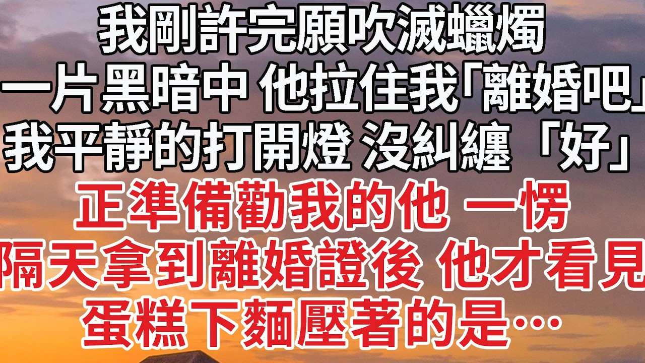 【完結】我剛許完願吹滅蠟燭一片黑暗中他拉住我「離婚吧我平靜的打開燈沒糾纏「好」把他剩下的話堵在喉嚨直到拿到離婚證後看到丢在桌上的帳本他瘋了#婚姻 #感情