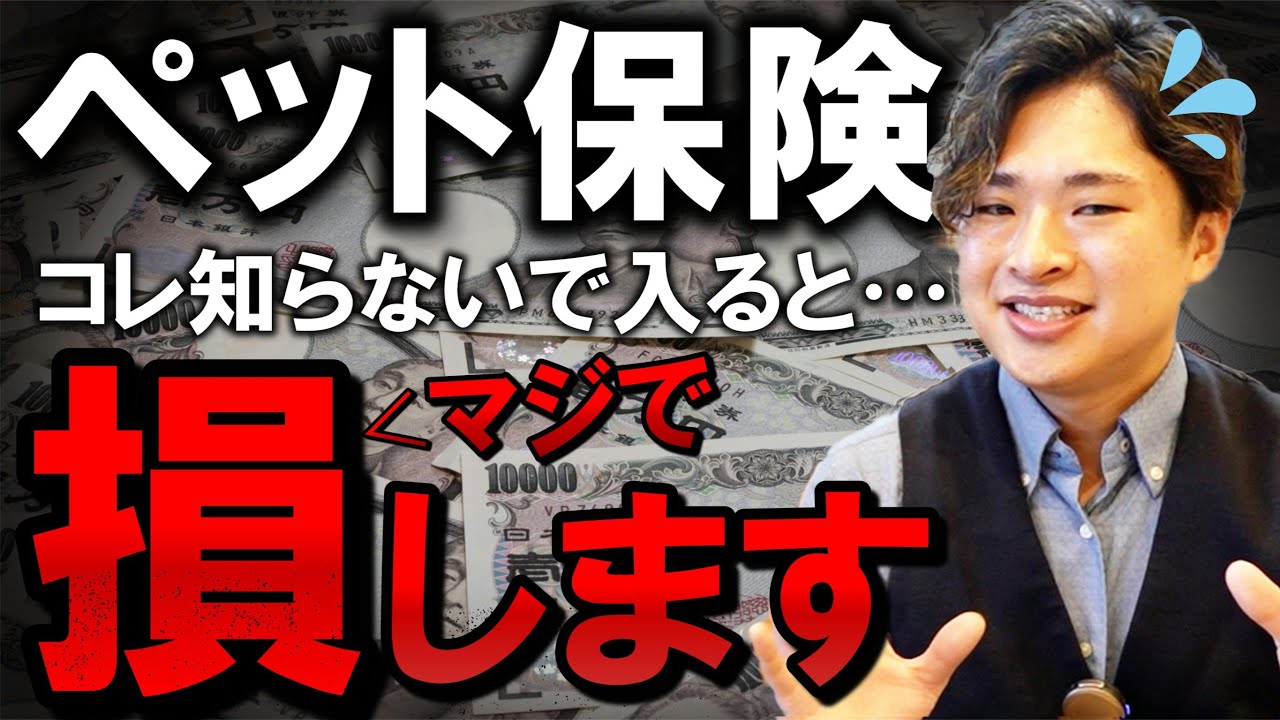 【元ペットショップ店員が暴露】ペット保険に加入する前に知っておかないと損すること3選