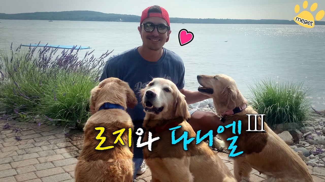 한국에서 보내는 헤니와 로지의 마지막 산책 - [다니엘 헤니X로지 3편]
