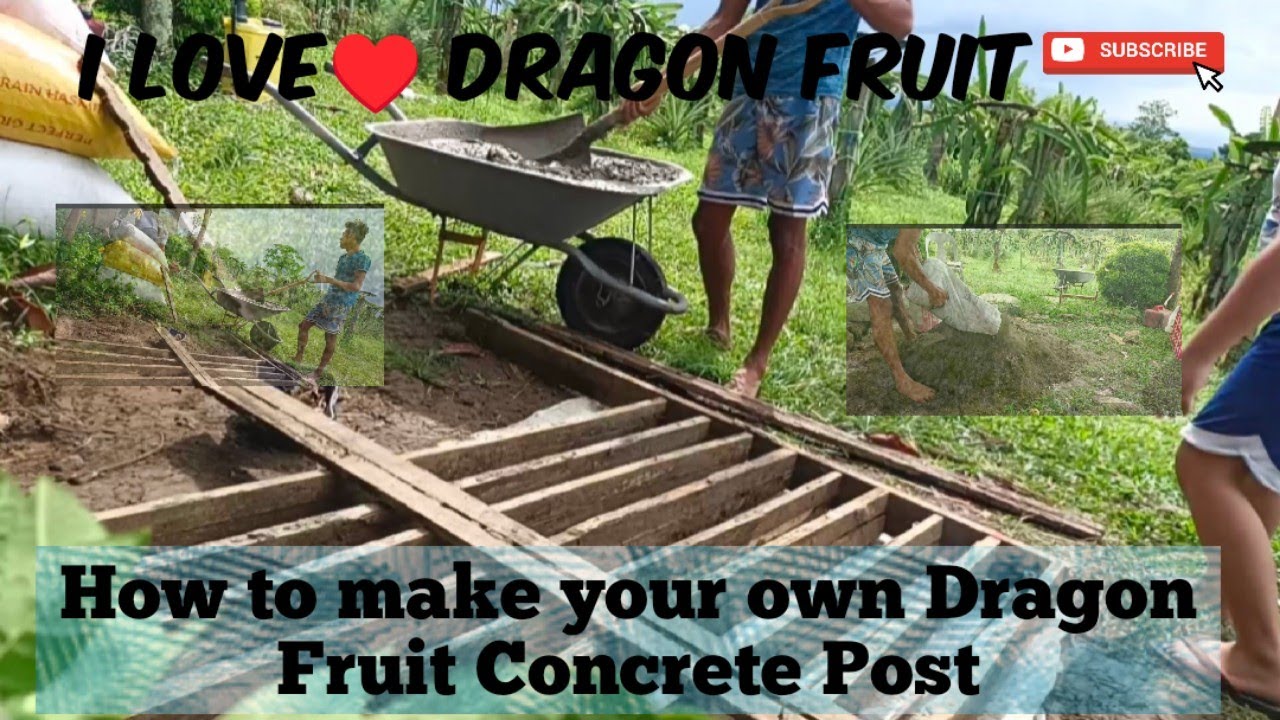 How to make your own Dragon Fruit Concrete Post