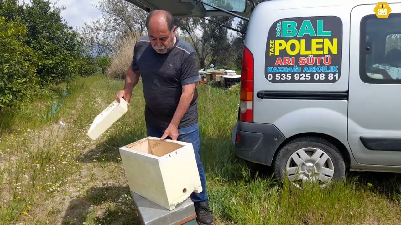 Ahşap Kovan mı Strafor Kovan mı ? Avantaj ve Dezavantajları