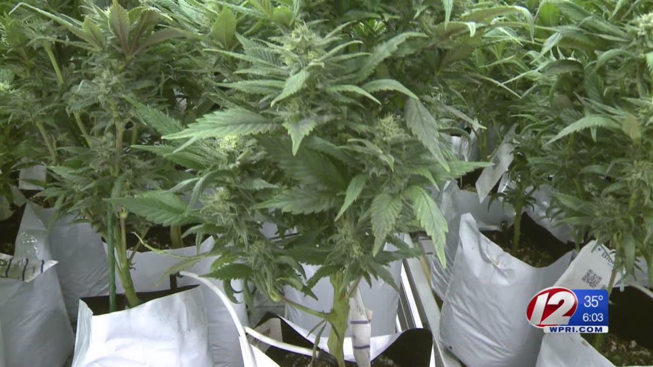 Recreational pot shops looking to expand across Massachusetts