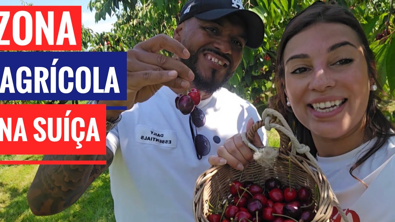 🍒 A COLHEITA 🍒 AGRICULTURA NA SUÍÇA 🍒🇨🇭