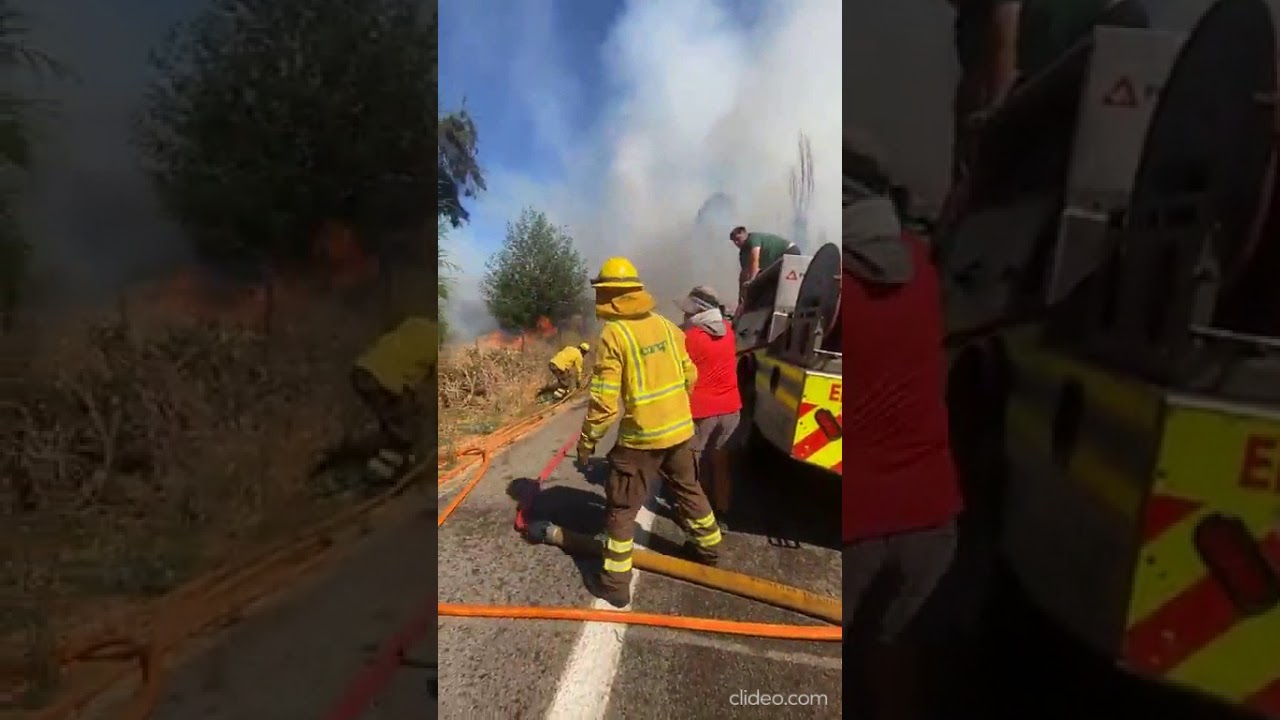 07.02.26 Incendio forestal en Camino Lo Ovalle, Fundo Quebradilla, Casablanca.