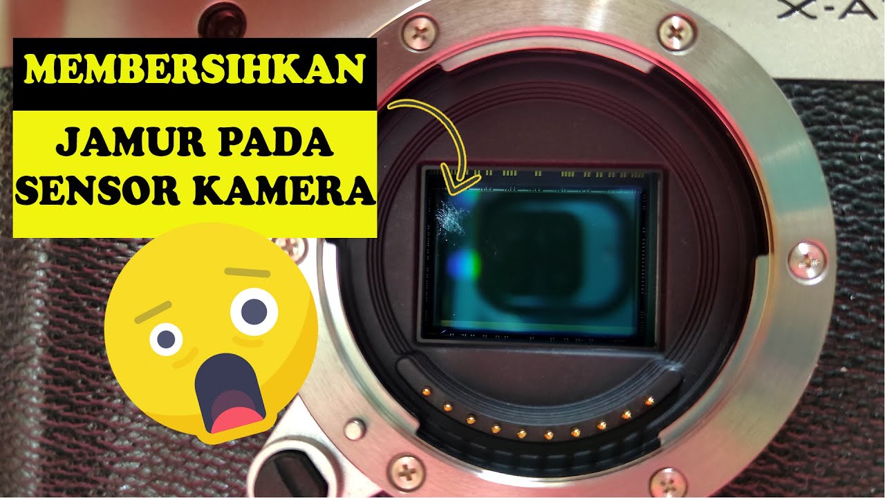 MEMBERSIHKAN JAMUR PADA SENSOR KAMERA | VSGO sensor cleaner | Mirrorless