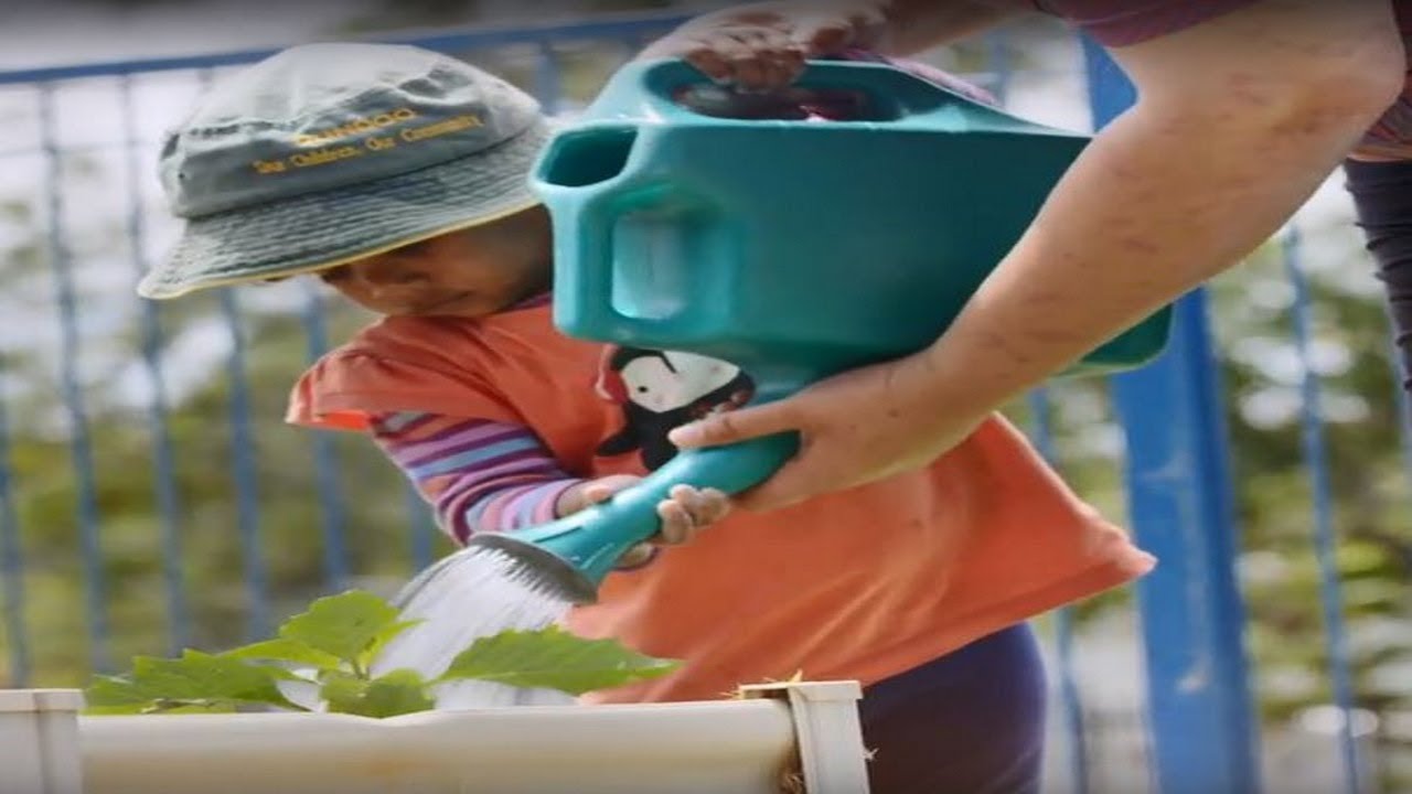 Nurturing Relationships