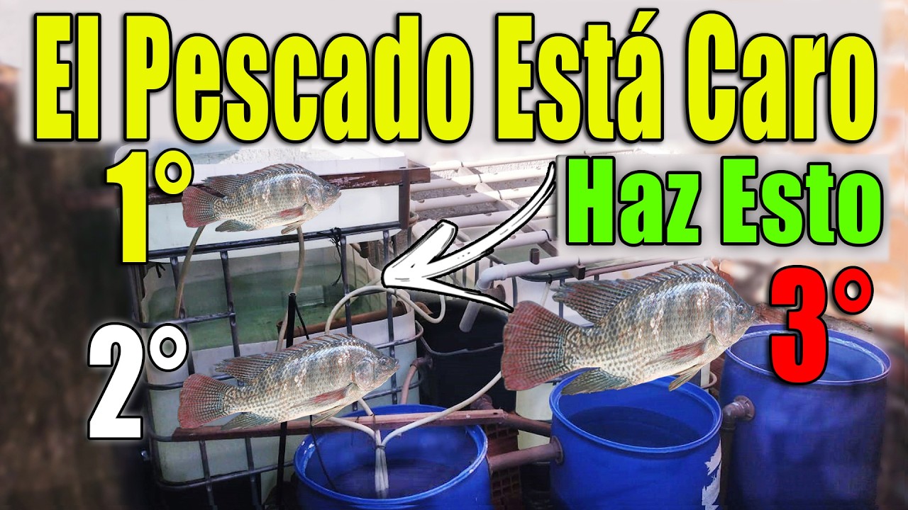 Ya No Compres Pescado, Esto Es Mucho Mejor, Todos Lo Van a Hacer ¡Mira!