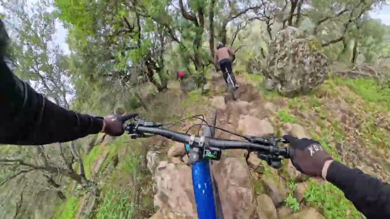 Fun in the Son - Bay Area
