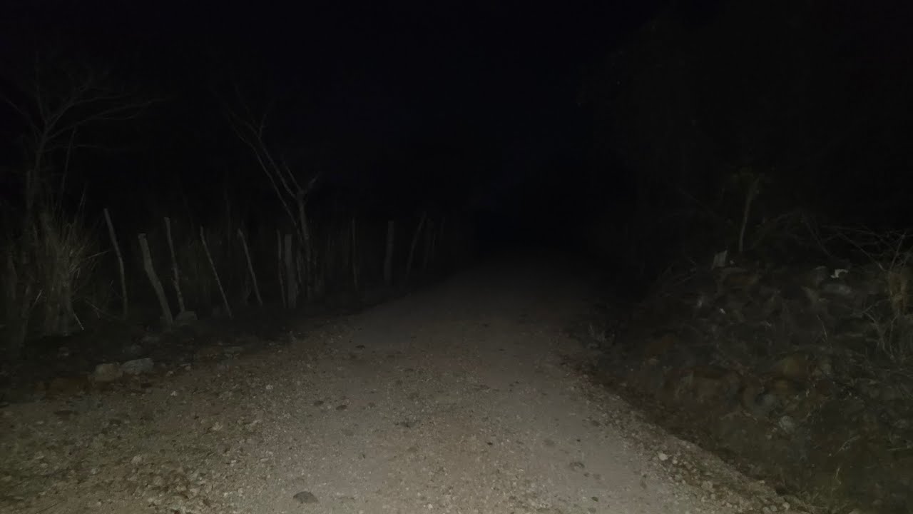 Como Les va