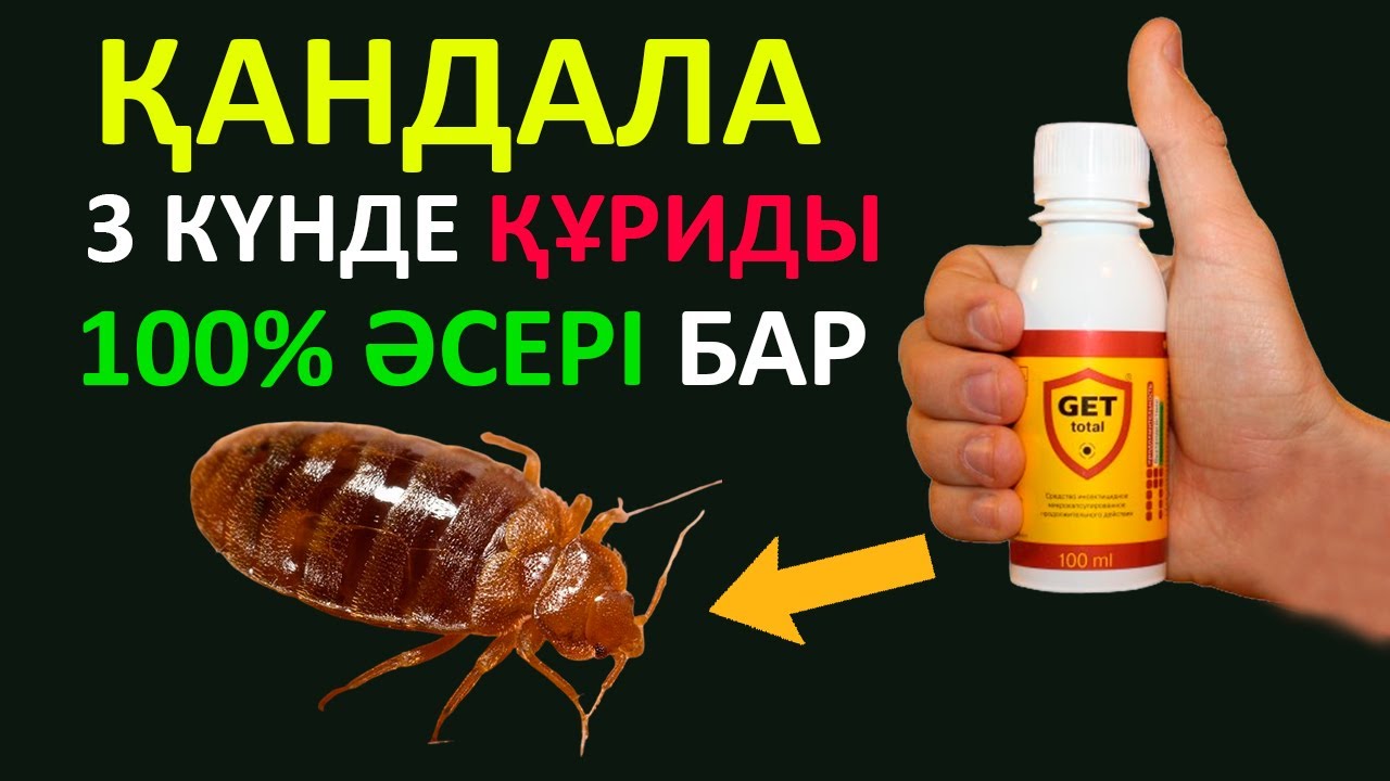 ҚАНДАЛА 3 Күнде Тұқымымен ҚҰРИДЫ , ҮЙДІ Қандаладан ҚАЛАЙ ТАЗАЛАЙМЫЗ, Керек арнасы