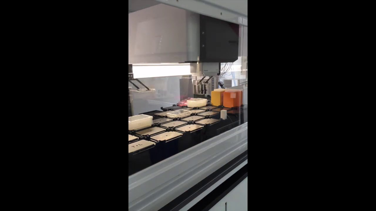 Our new automated iPSC culture system using the Biomek i7 workstation