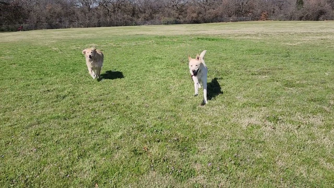 Not quite a successful training, but 
