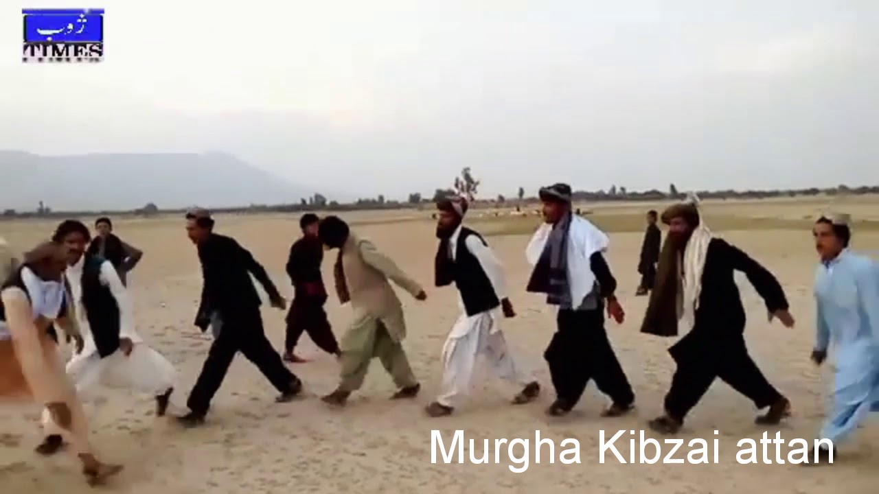 Kibzai Kakari attan 2019