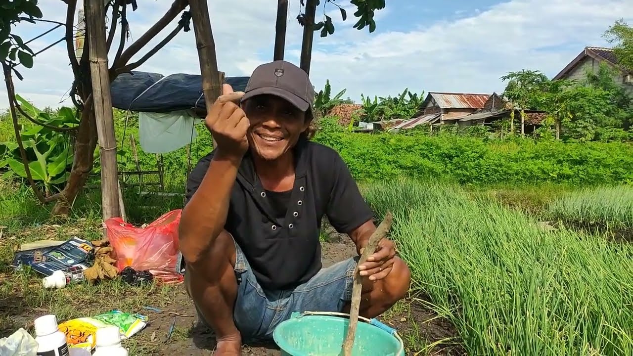 PART 14: TAJUK 37 HARI PENGOBATAN DI MUSIM PENGHUJAN 