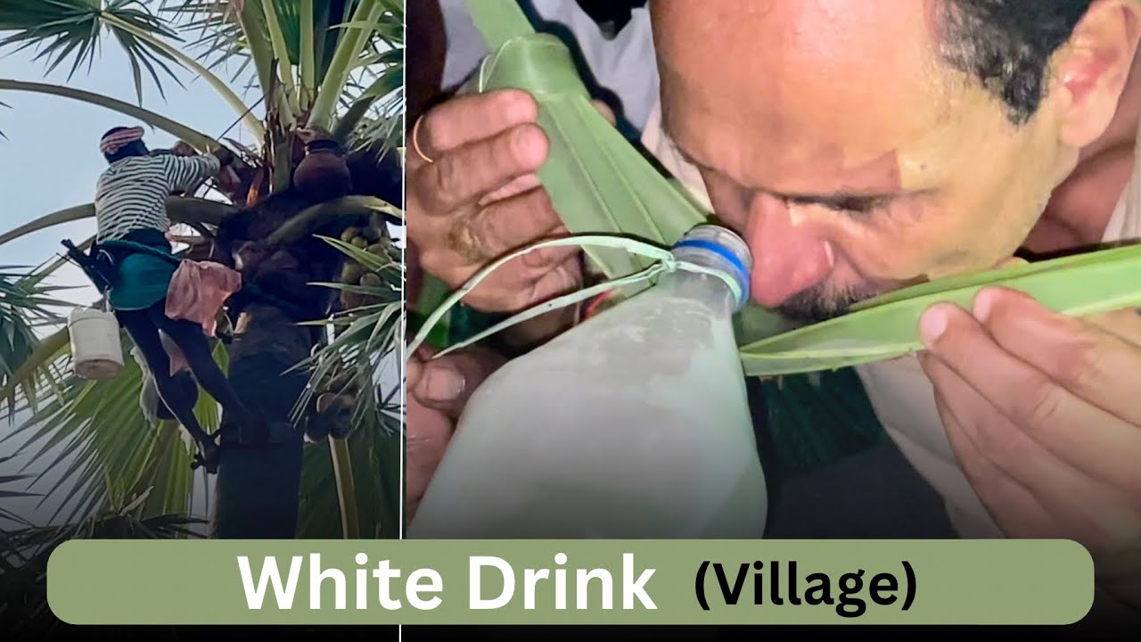 Desi Energy Drink! ताड़ी का जूस | Natural Alcoholic Juice from Toddy Palm 🍃😲