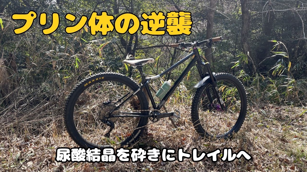 【トレイルライド】「尿酸の塊」を抱えたアラフィフおっさんのトレイルライド　今回は痛風が２カ所に💦