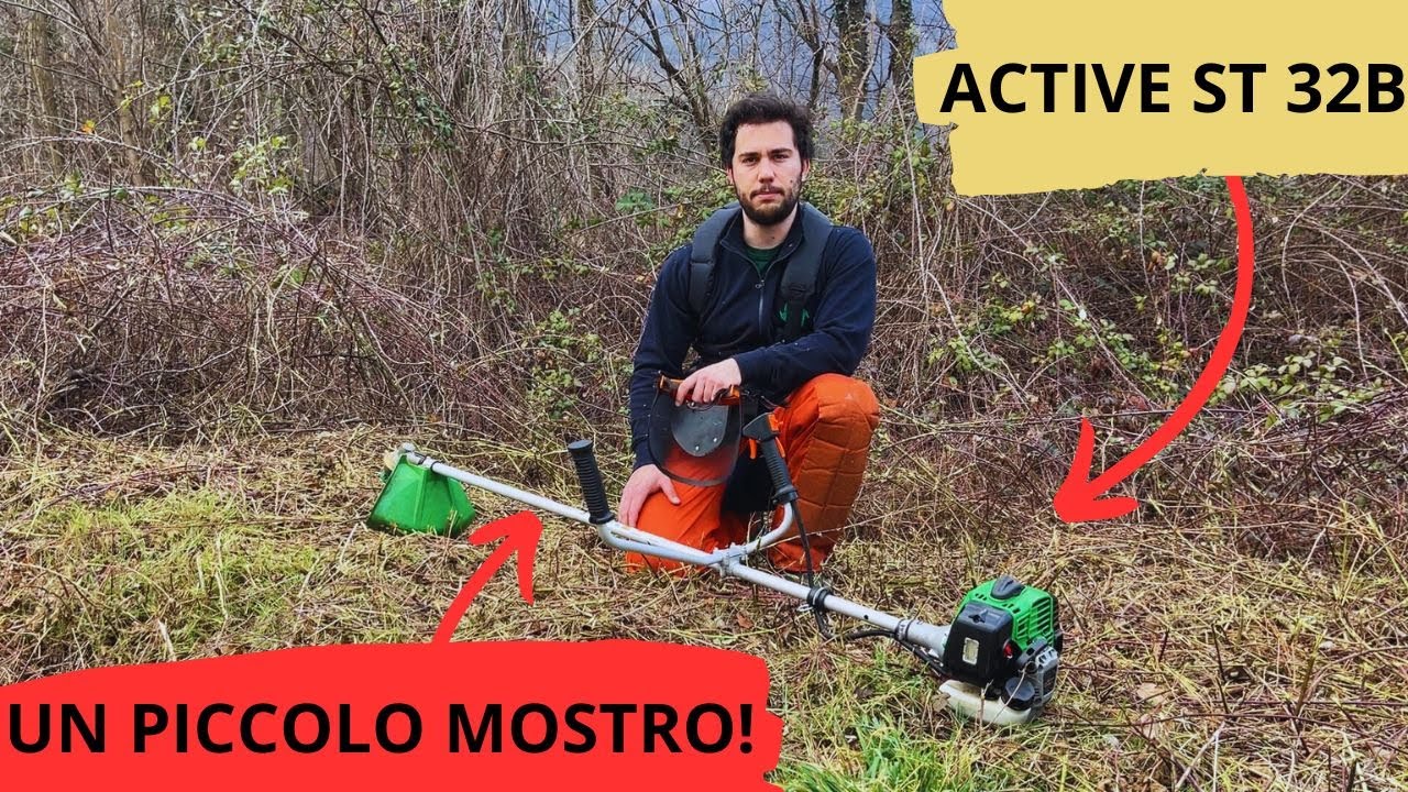 Il miglior DECESPUGLIATORE qualità / prezzo