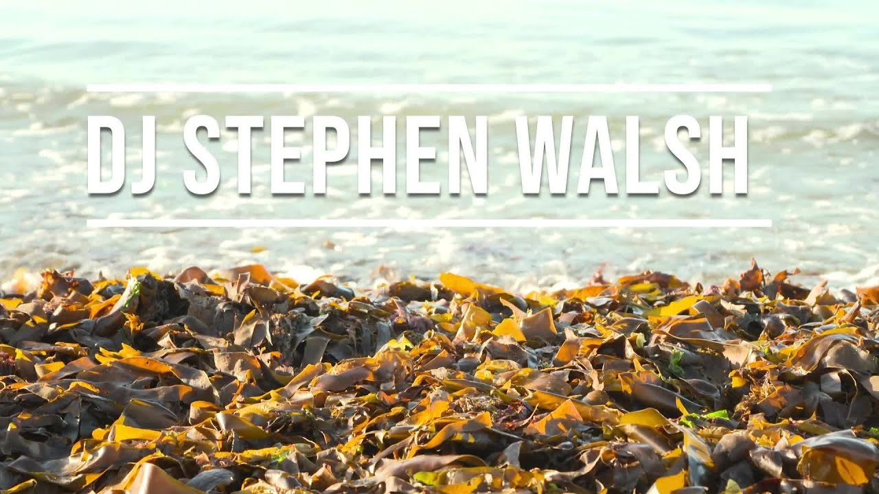 Stephen Walsh Live @ Cloughey Beach