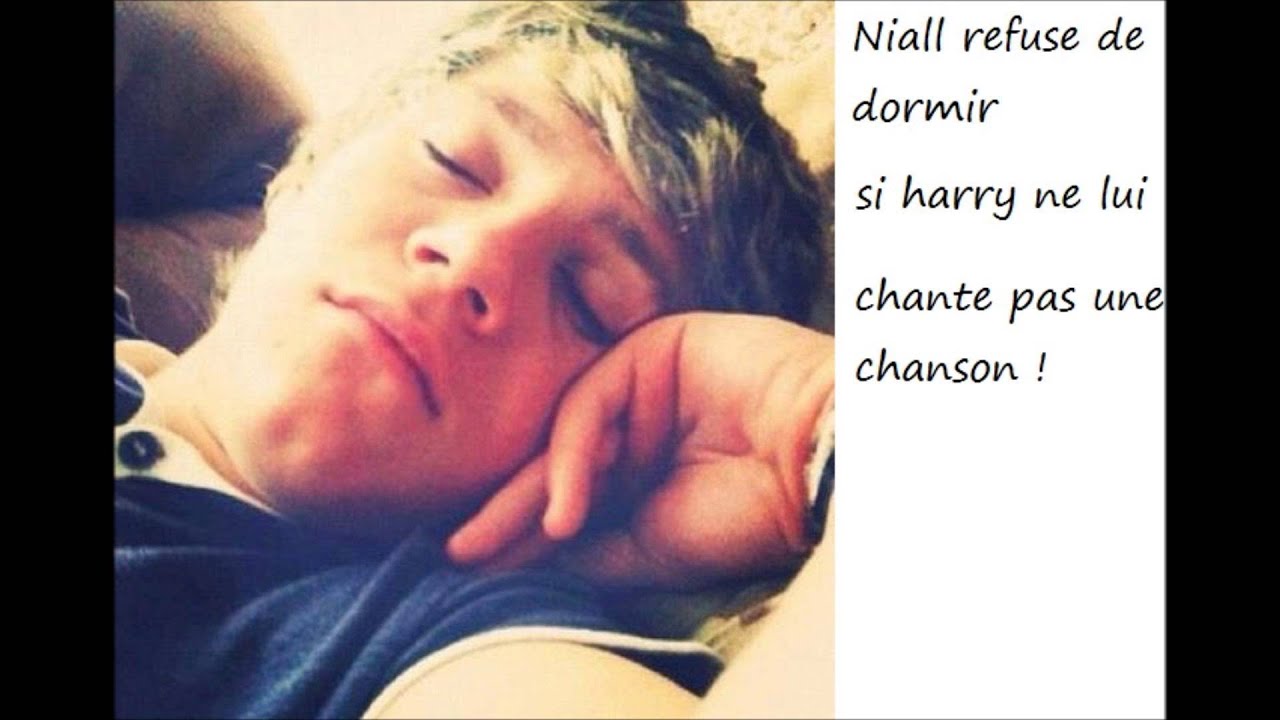 Niall Horan french fact
