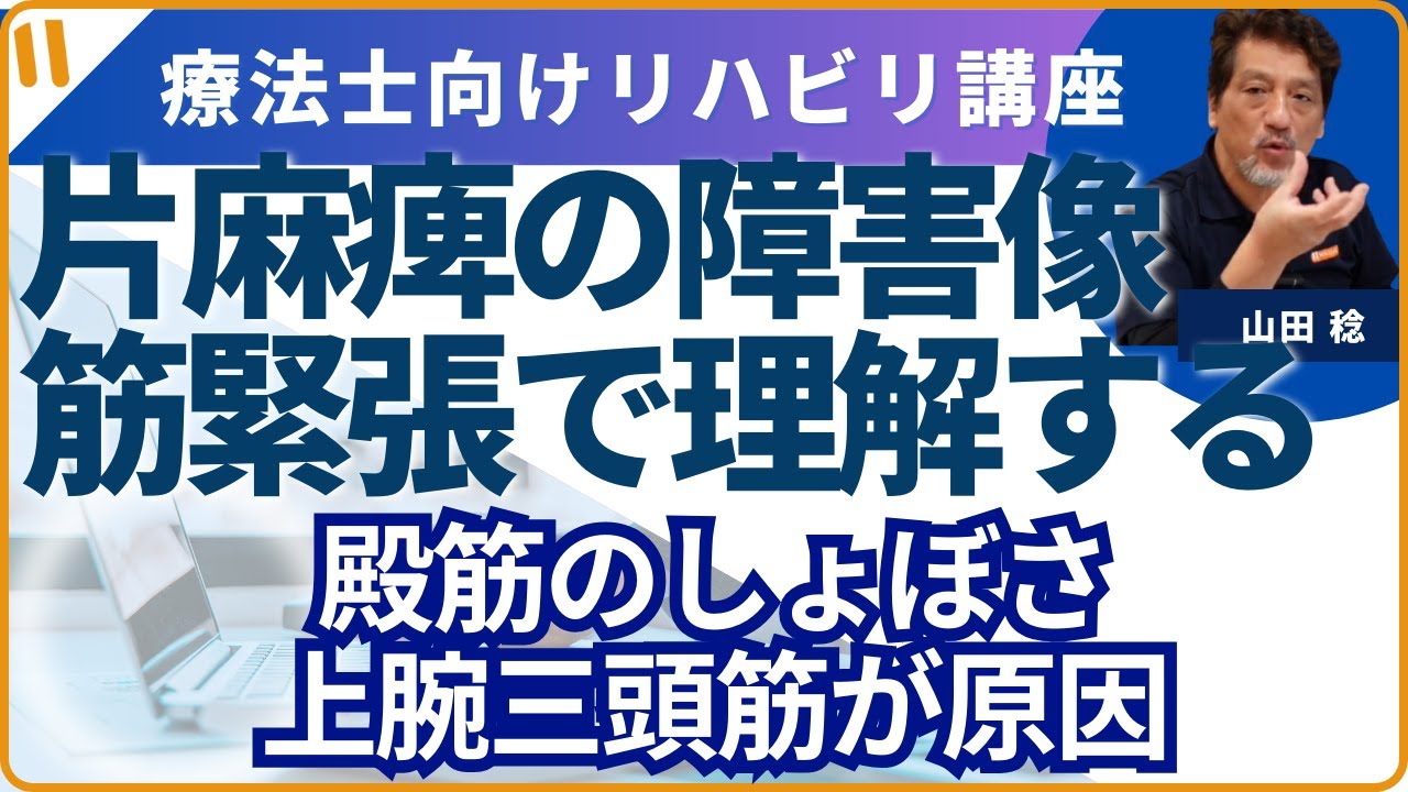 【片麻痺者の障害像を筋緊張で理解する】①殿筋のしょぼさは上腕三頭筋に有った！
