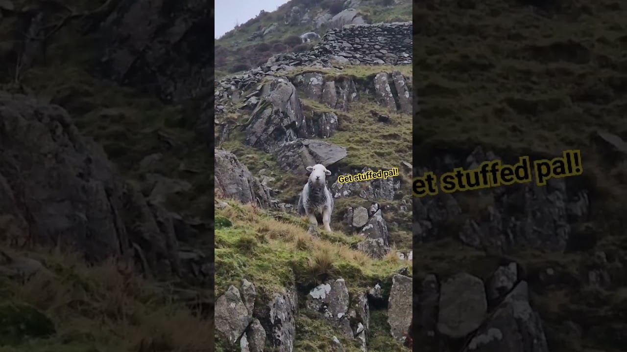New video going on tonight! A Very Wet Hike! #hiking #outdoors #outdooractivities #lakedistrict