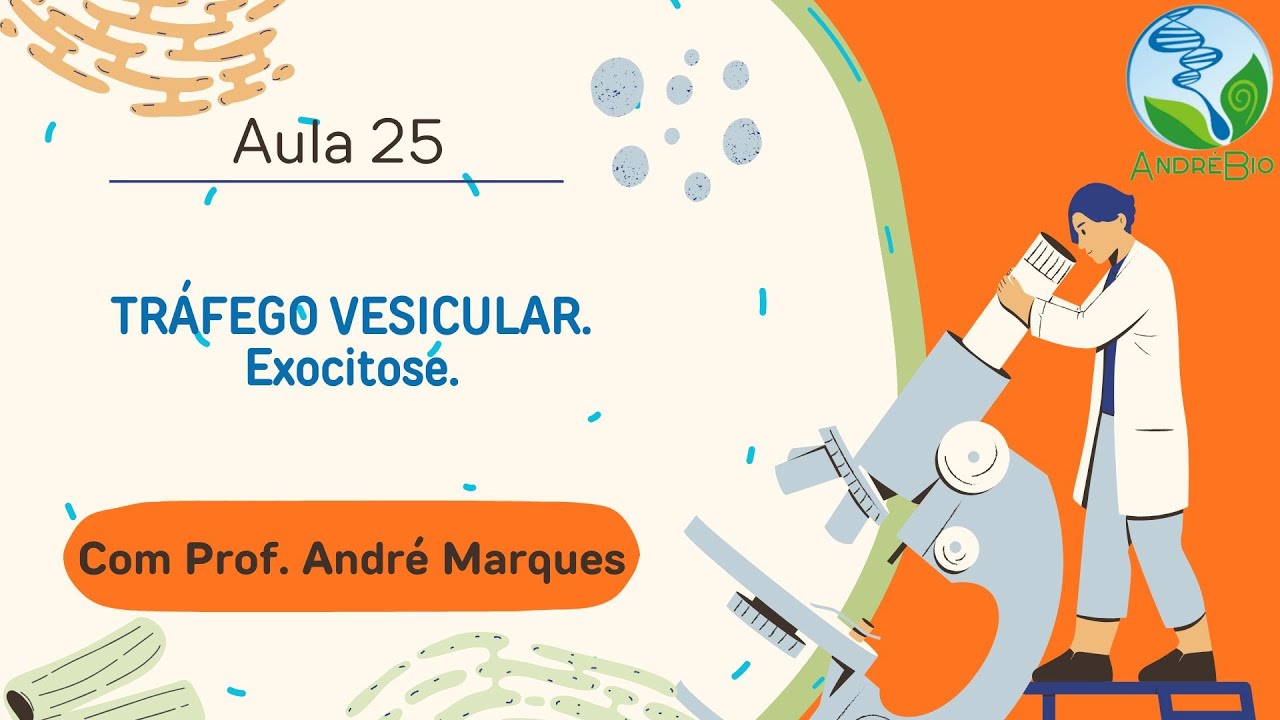 Exocitose: secreção celular, fusão de vesículas e homeostase de membrana