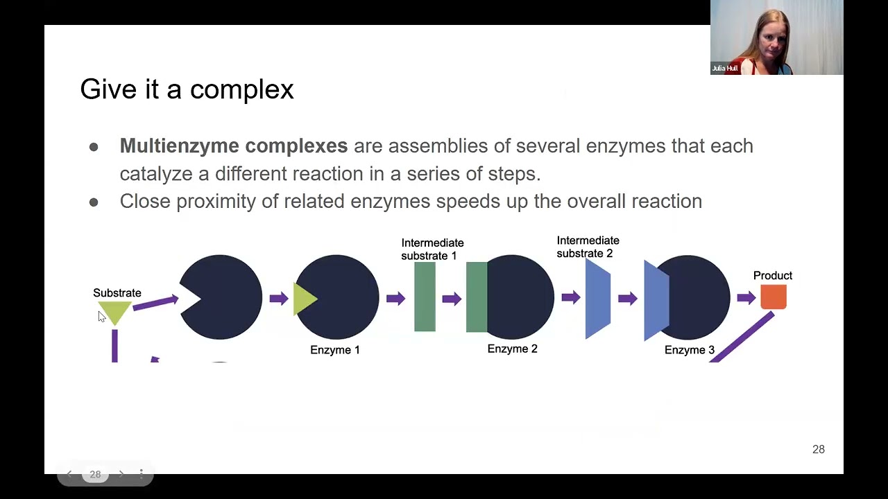 Enzymes & Metabolism