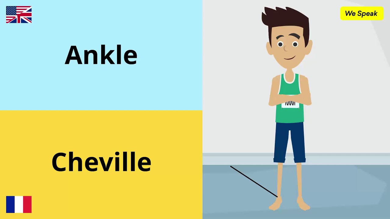 Apprendre L'anglais ✪ En Direct 🔴 400 Mots Très Utiles en Anglais ✔